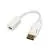 Cordon DisplayPort Mâle ves Mini DisplayPort Femelle LogiLink